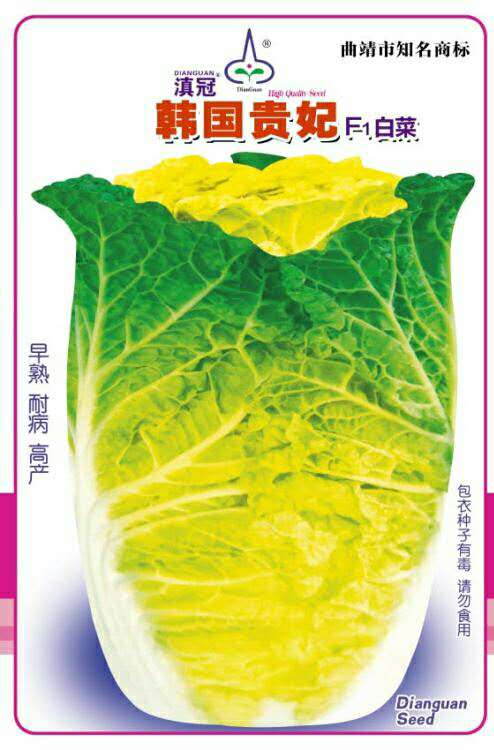 滇冠-韓國貴妃白菜